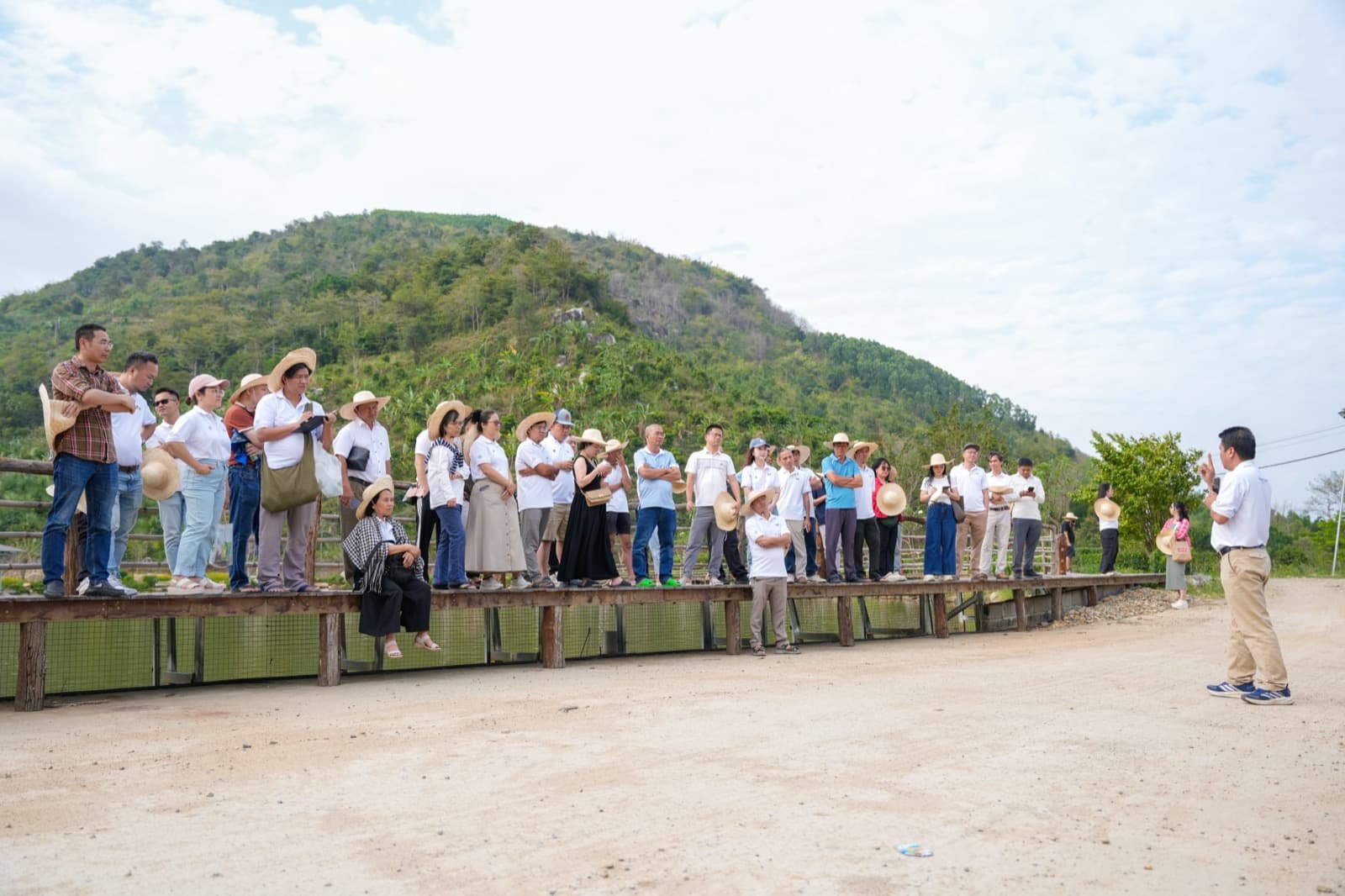 Đồng ruộng và đàn vịt tại Sản Việt Farm, Ninh Hòa