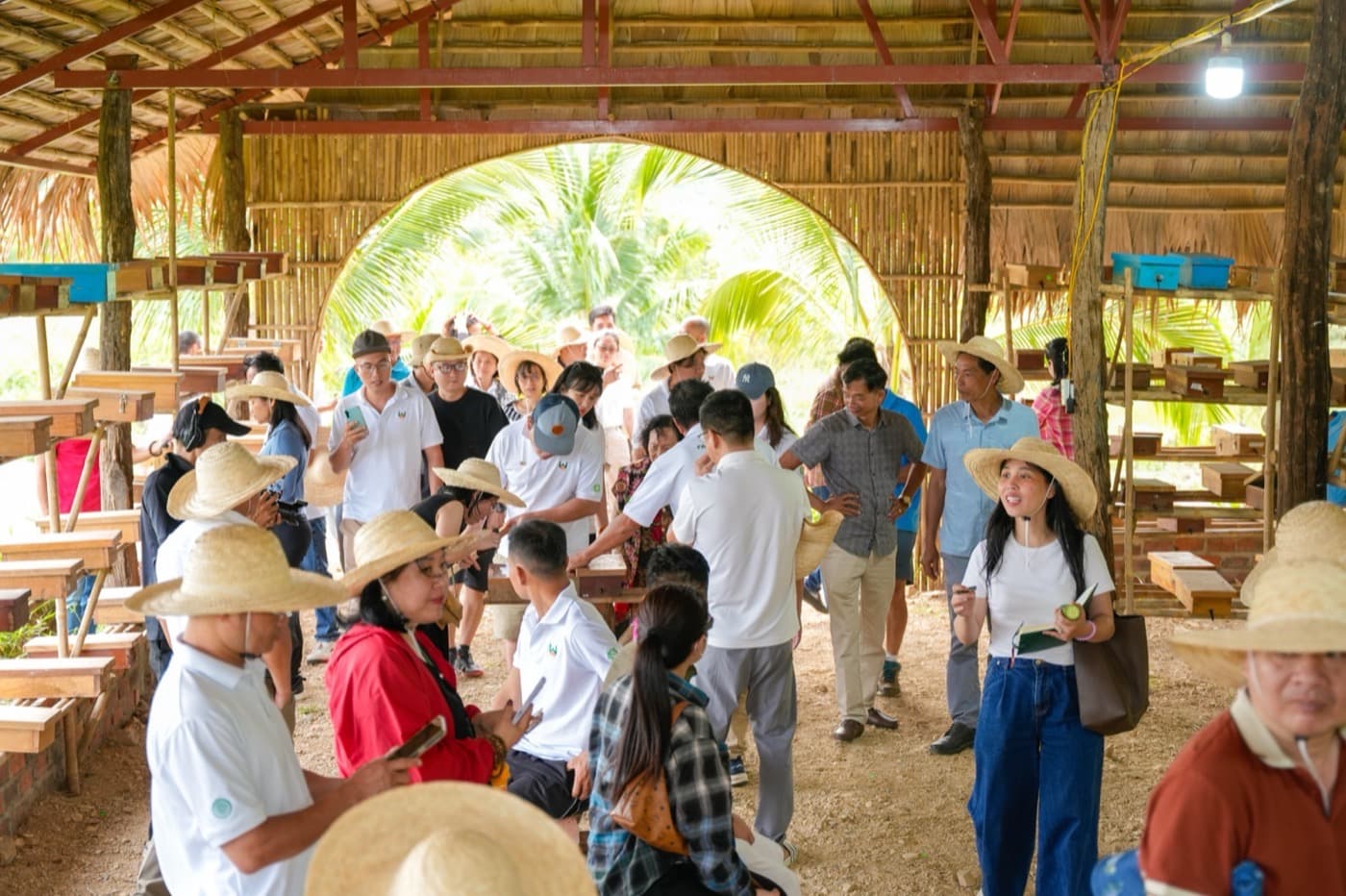Trải nghiệm mật ong dú trong nhà tre Sản Việt Farm